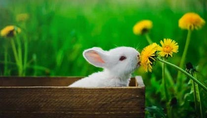 朱婷助球队拿下关键战女排世界杯，朱婷女排吧 朱婷个站